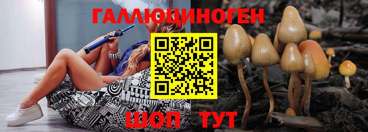 Анапа  Псилоцибиновые грибы Magic Shrooms  Вход с VPN 